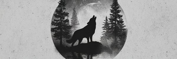 ddonprogramming Profile Banner