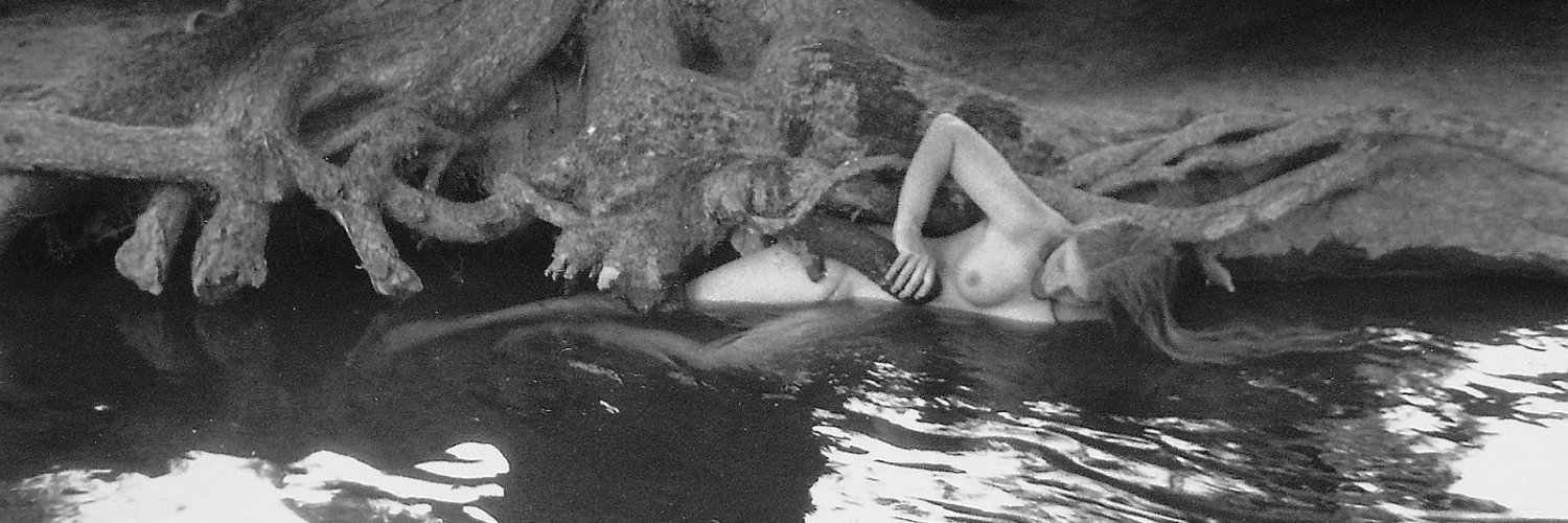 Araceli Pulpillo banner