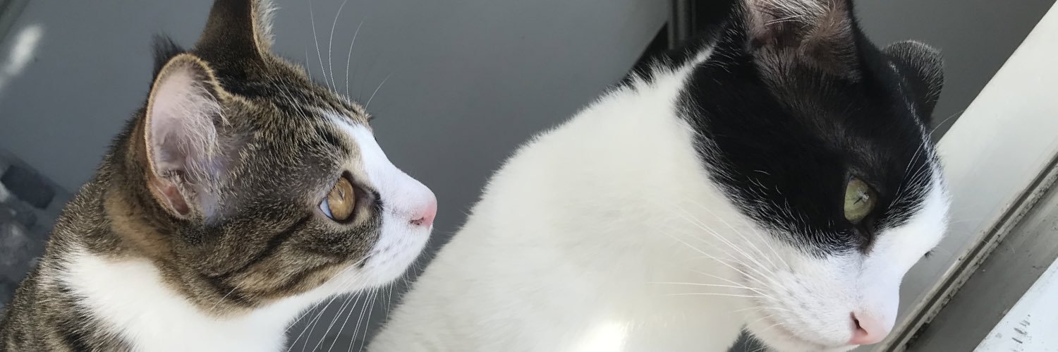 m_ttis's profile banner image