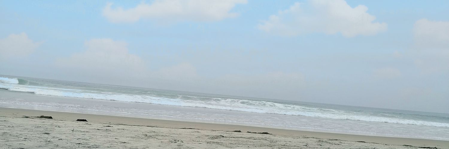 Seb8160's profile banner image