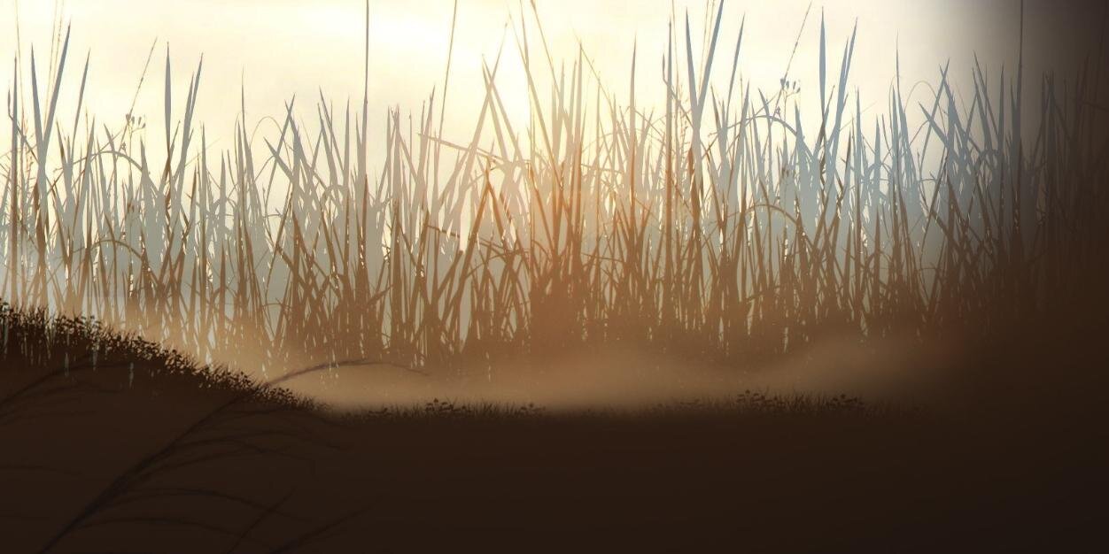 Annelioni's profile banner image