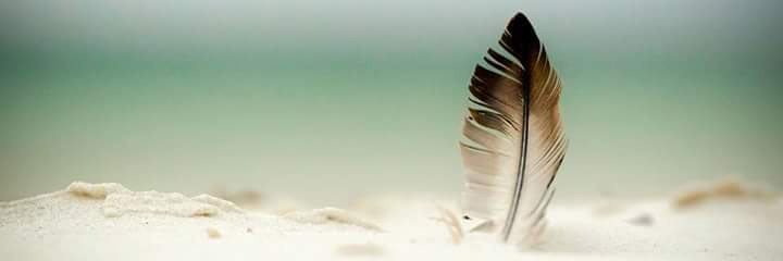 MariaGeorgiades's profile banner image