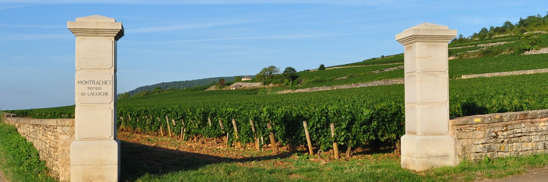 FineWineExperts's profile banner image