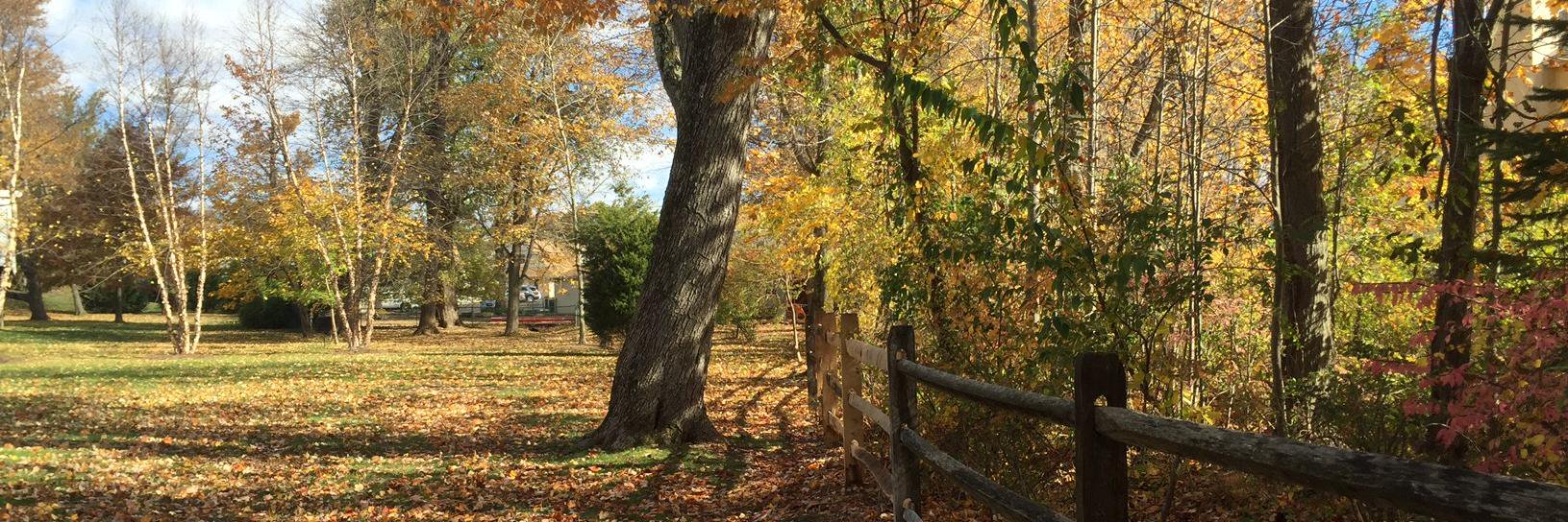 Anthony Stanowski banner