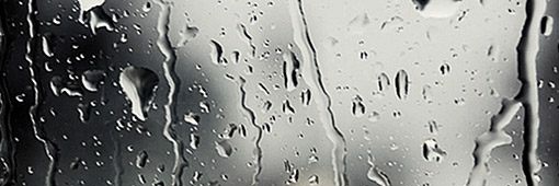 lore_viola's profile banner image