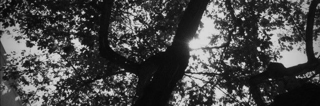 𝑖𝑠𝑎𝑏𝑒𝑙𝑙𝑒, 𝑓͟𝑙͟𝑒͟𝑢͟𝑟𝑖𝑠𝑡𝑖𝑛𝑒. banner