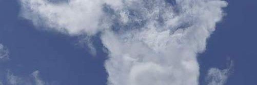 Mliggesh's profile banner image