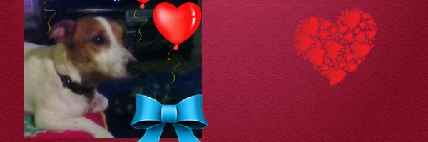 Twitter banner for @lesbos