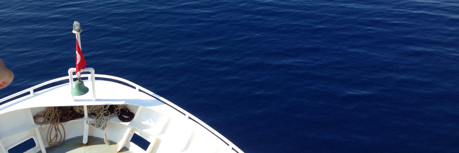 burcuffff's profile banner image