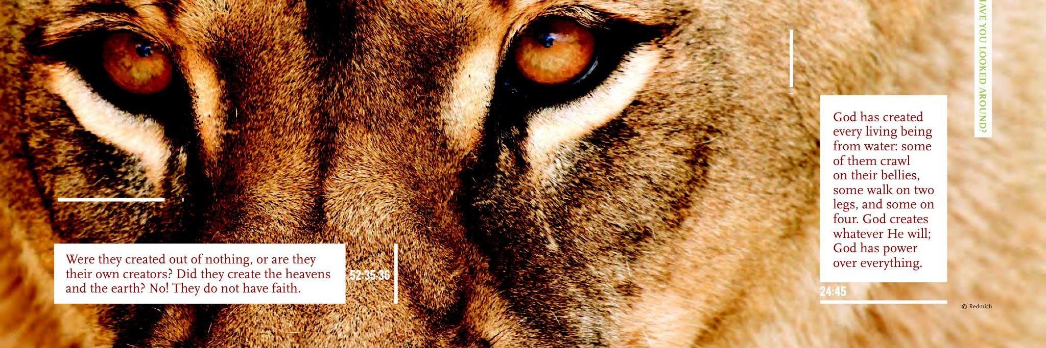ztauseef's profile banner image