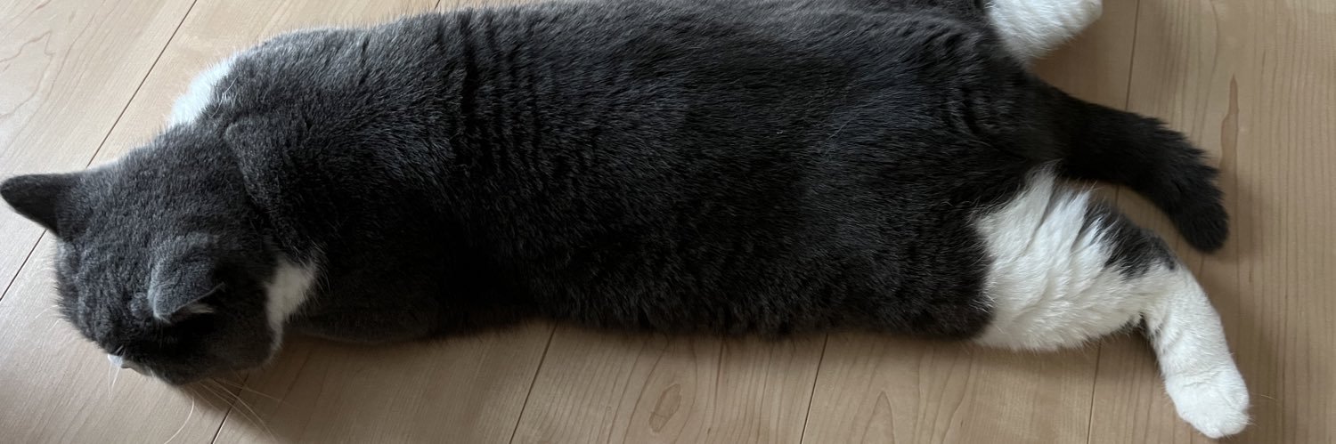 clean_chk1's profile banner image