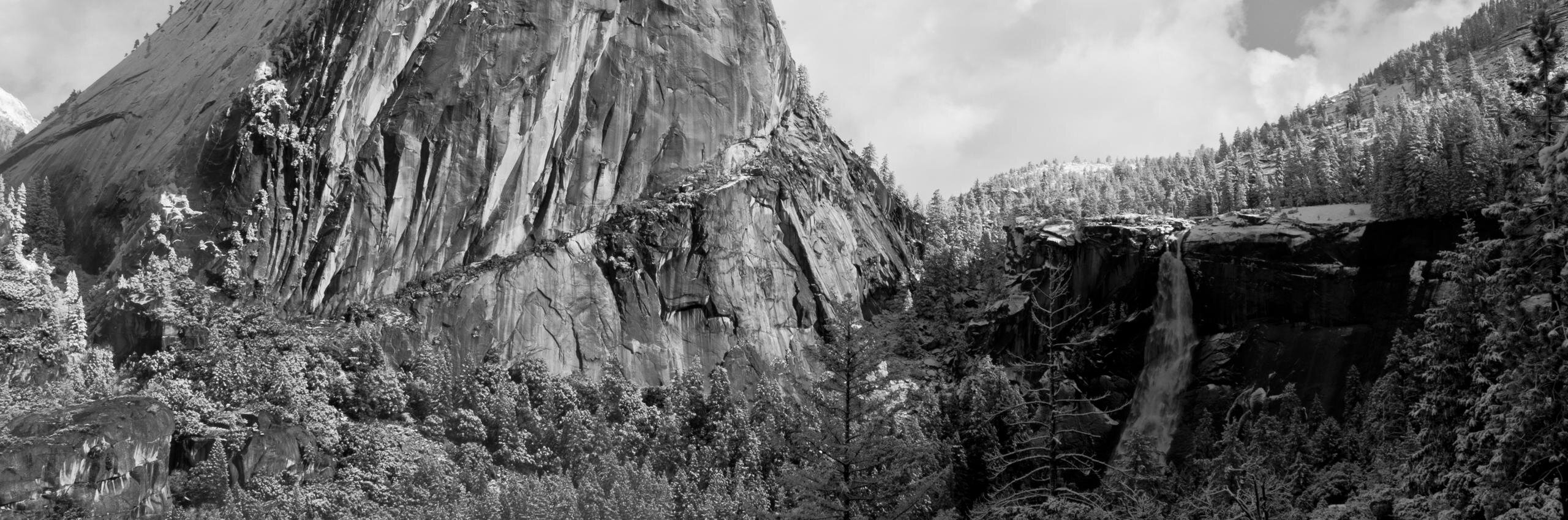 davejgellis's profile banner image