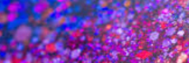 ALlong95's profile banner image