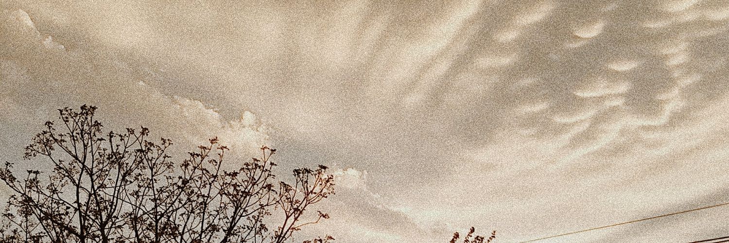 Maitenahernand's profile banner image