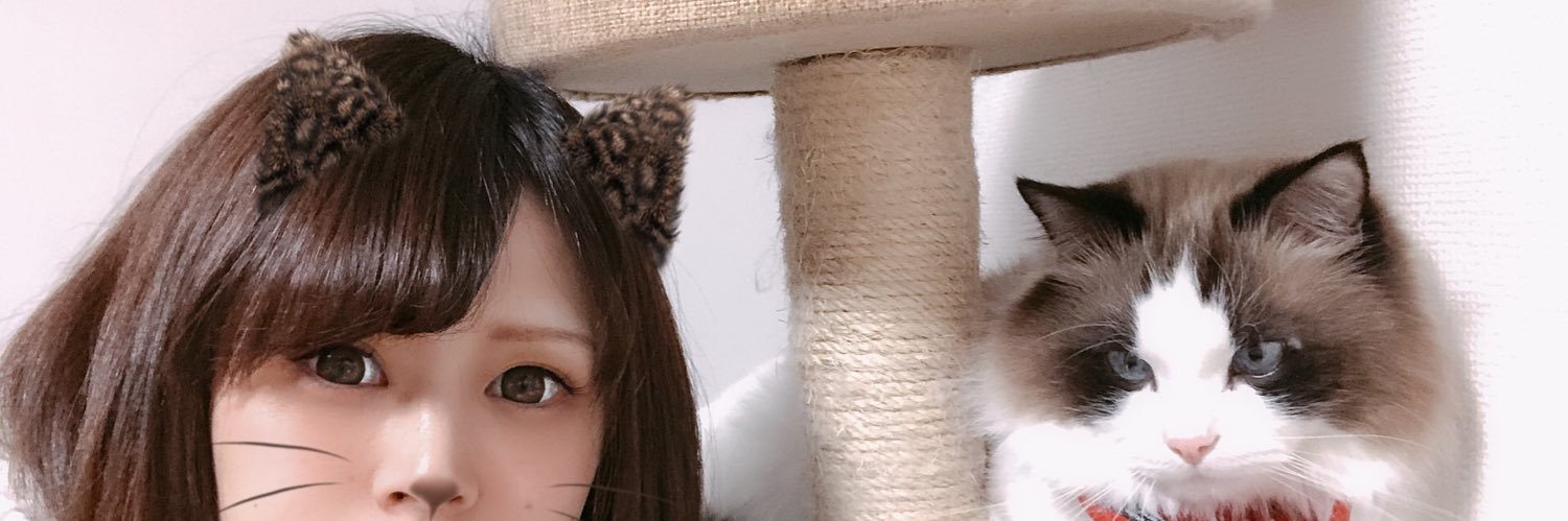 ayano_ohno's profile banner image