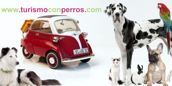 turismoconperro's profile banner image