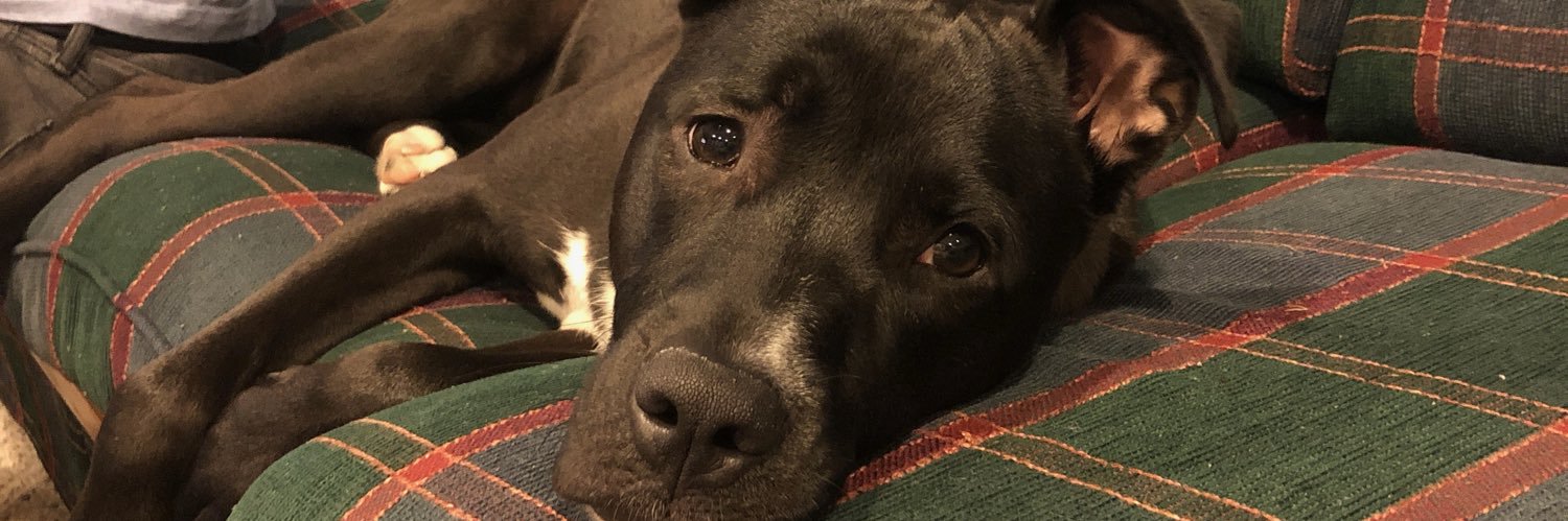 Jonathan Rembold banner