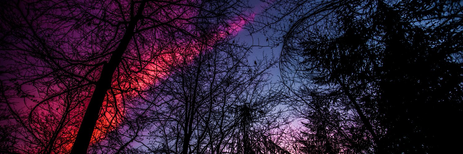 demaxl's profile banner image