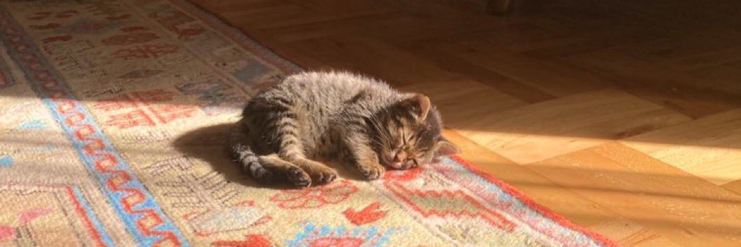 Tahani almohairy • RN banner