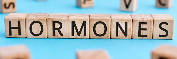 hormones therapy banner
