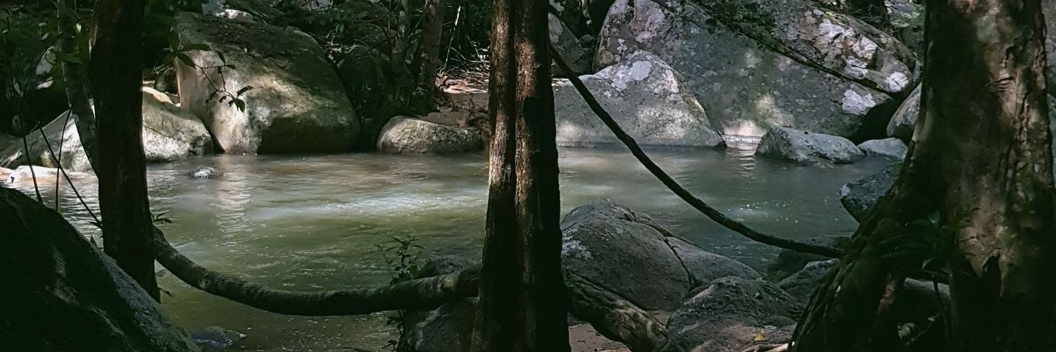 Vd banner