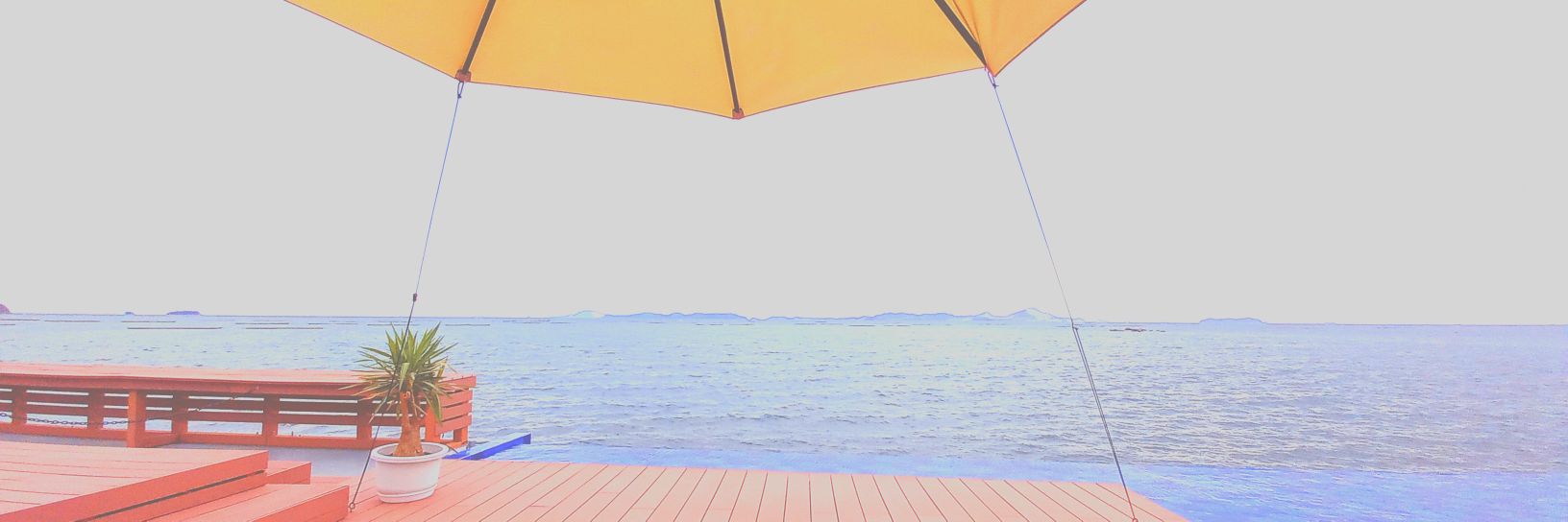 manami335's profile banner image