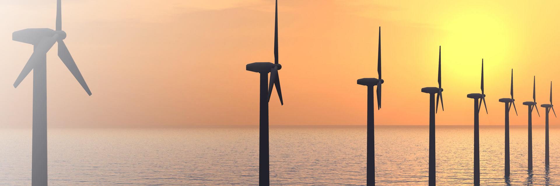 Department of NAOME banner