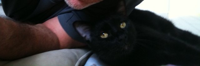 Ray Hayden, J.D. banner