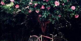 jemy106's profile banner image