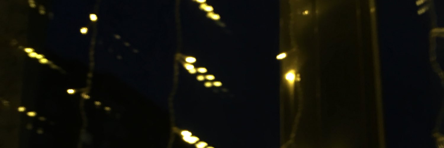 ___verona___'s profile banner image