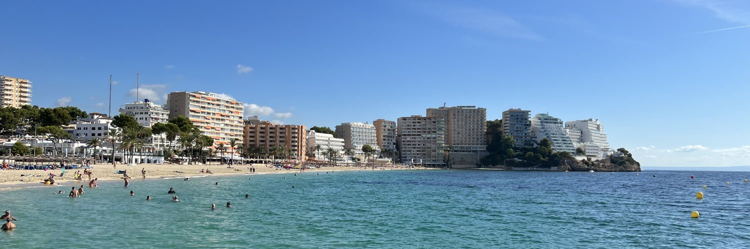 Paulo Fernandes banner