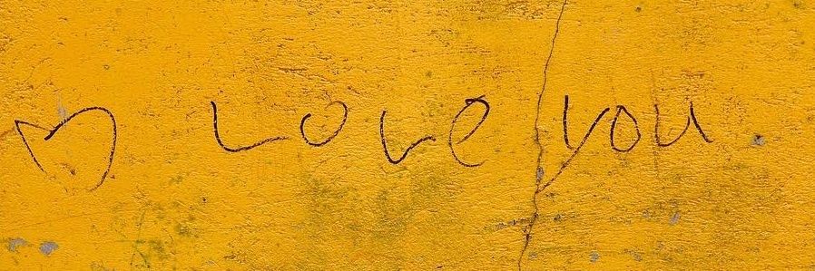 rain_forest94's profile banner image