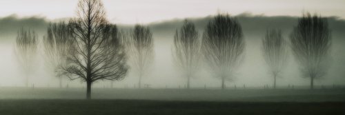 danielraguiarr's profile banner image