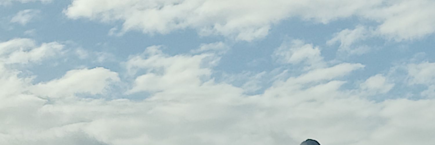 dawilling1's profile banner image