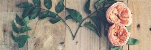 miloobetkari's profile banner image