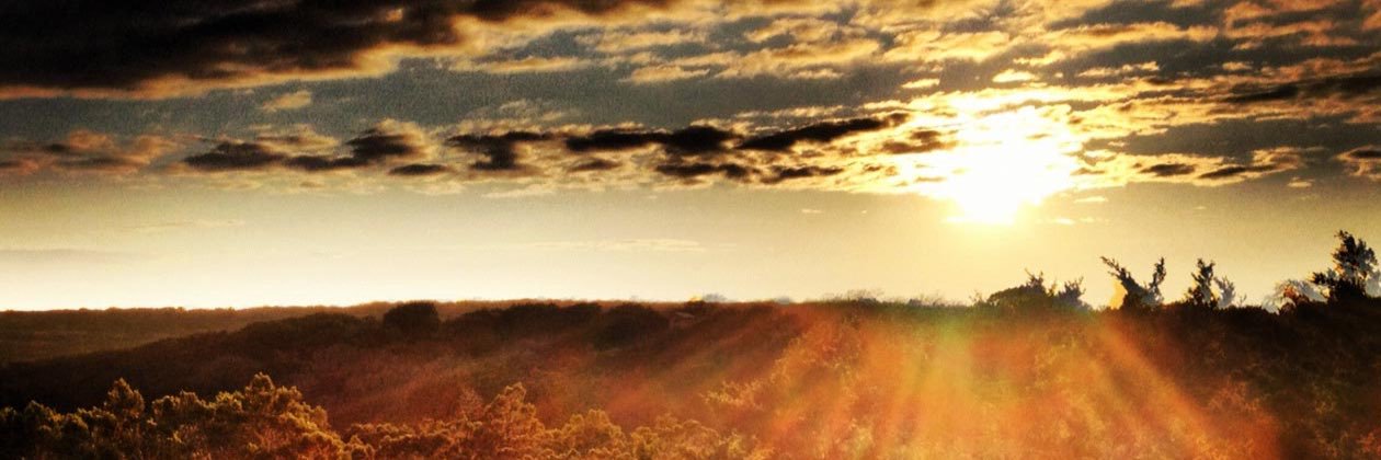 TigerJack_'s profile banner image