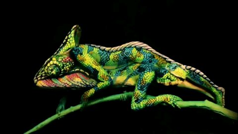 cezianno's profile banner image