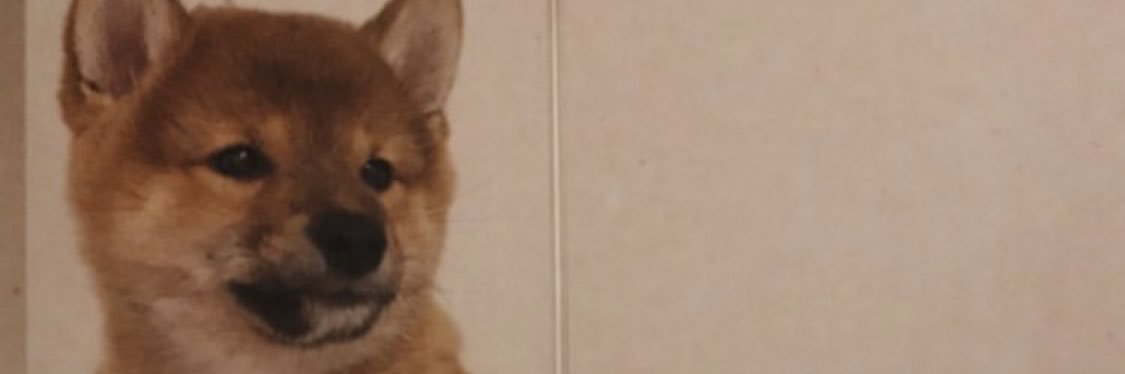 lulitaromano's profile banner image