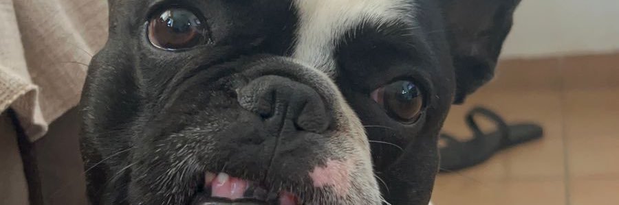 _bbarreto_'s profile banner image