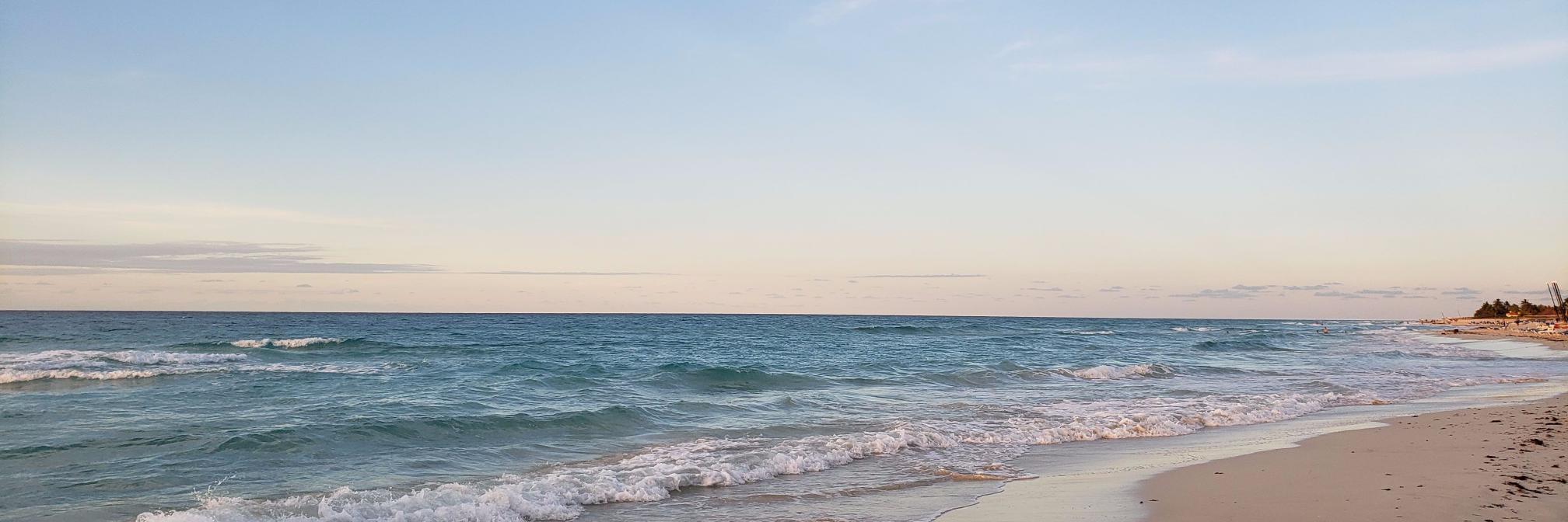 René Lobo, PhD banner
