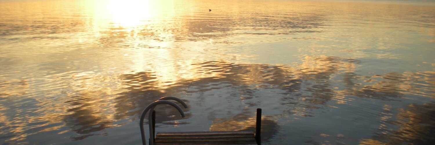 Dr. Marie Claire Brisbois banner