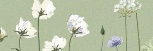 AvaBogyay's profile banner image