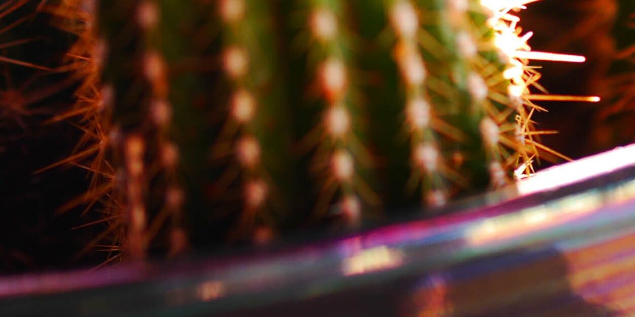 Ecriliving's profile banner image