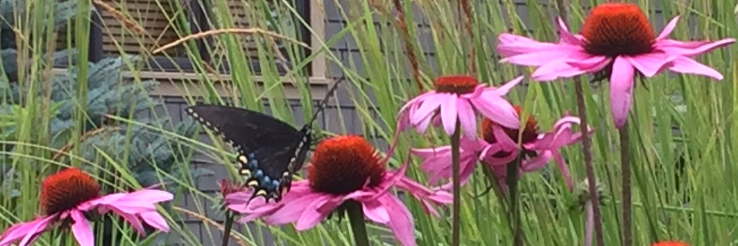 pleasantviewgdn's profile banner image