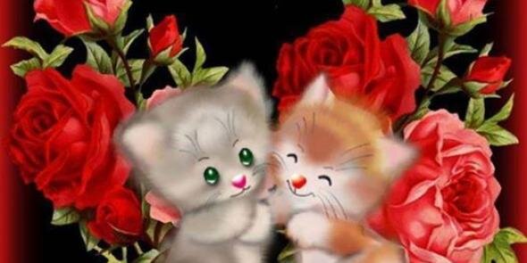 rose_mohmed's profile banner image