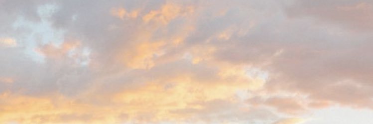 aalanalucas's profile banner image