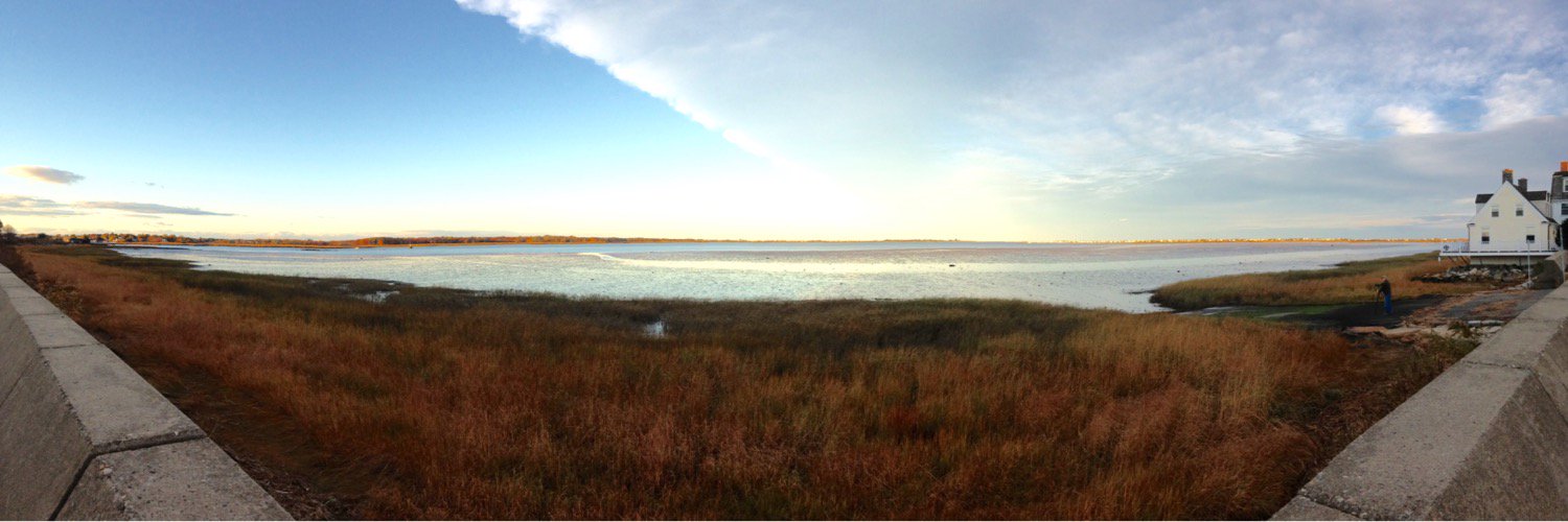 Jeanne OBrien Coffey banner
