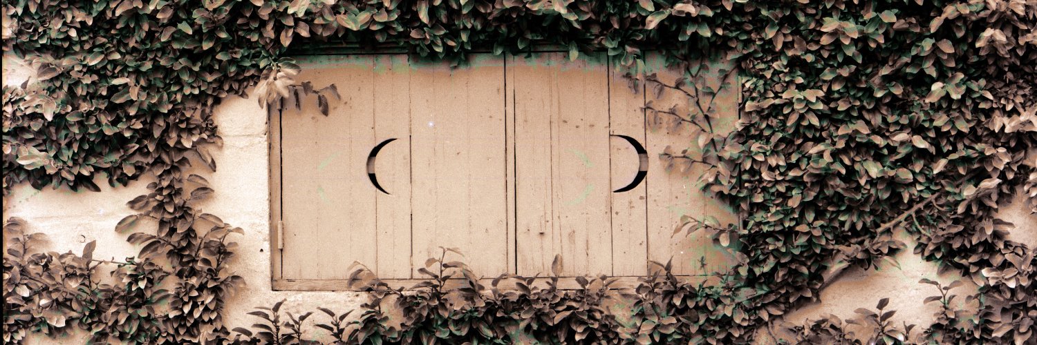 Susan111's profile banner image