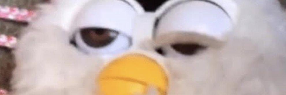 mancuencacesca's profile banner image