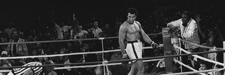 Boxing Bet Guru banner